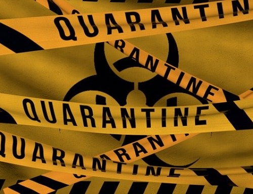Office 365: Release a Quarantined Email as a User
